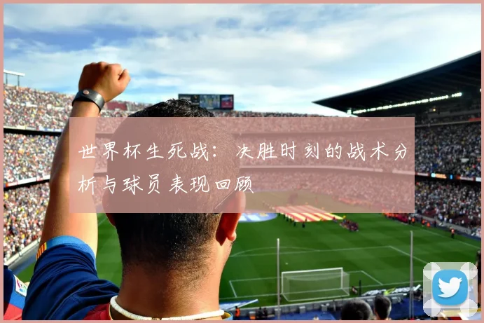 世界杯生死战:决胜时刻的战术分析与球员表现回顾